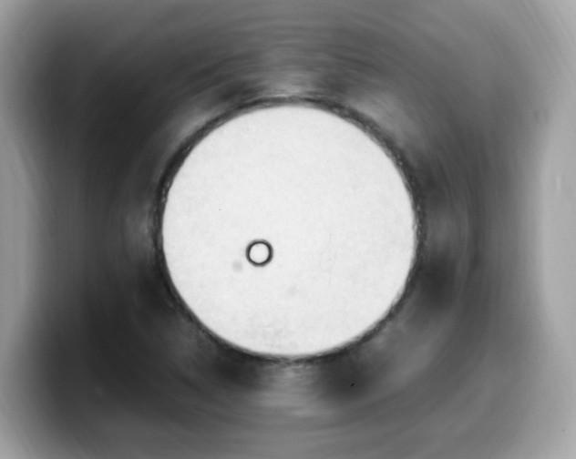 X0000099981314200805301345