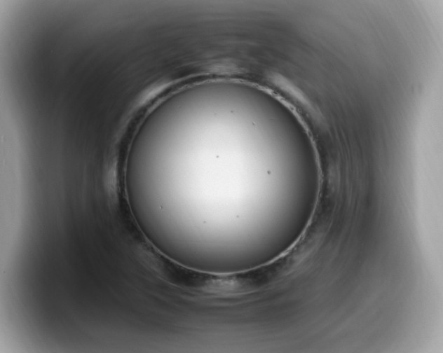 X0000099981315200805301345