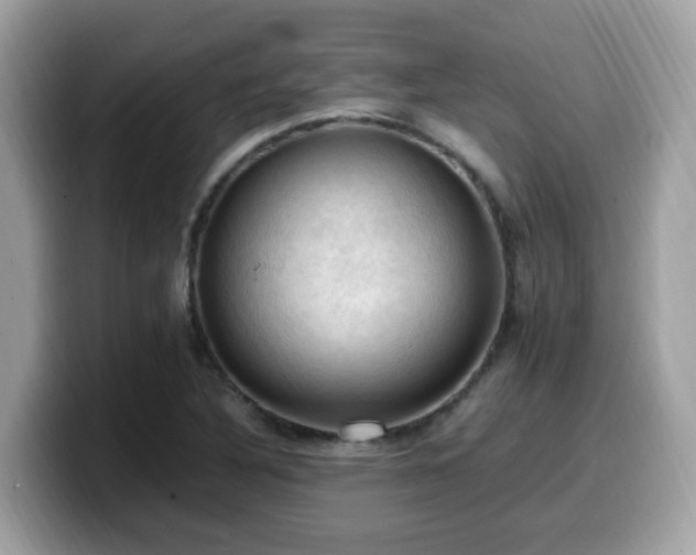 X0000099981316200805301345