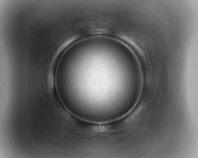 X0000099981317200805301345