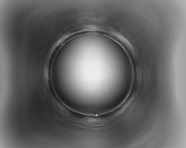X0000099981318200805301346