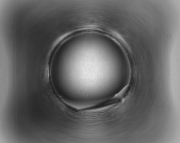 X0000099981320200805301346