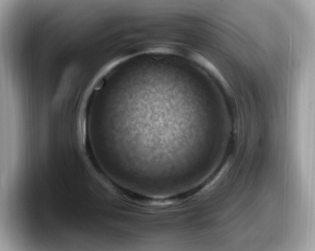 X0000099981323200805301346