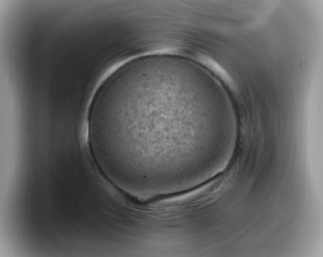 X0000099981324200805301346