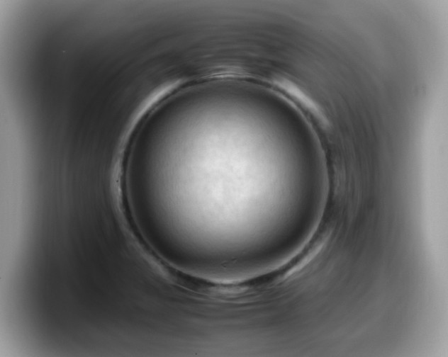 X0000099981325200805301346