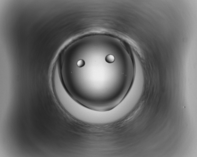 X0000099981326200805301346