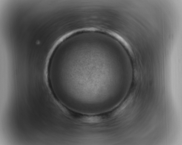 X0000099981327200805301346