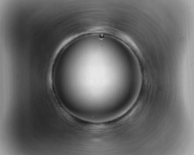 X0000099981328200805301346