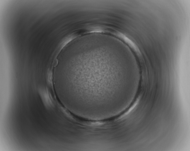 X0000099981329200805301346