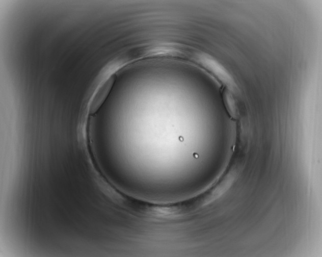 X0000099981330200805301346