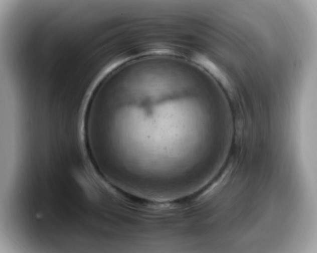 X0000099981331200805301346