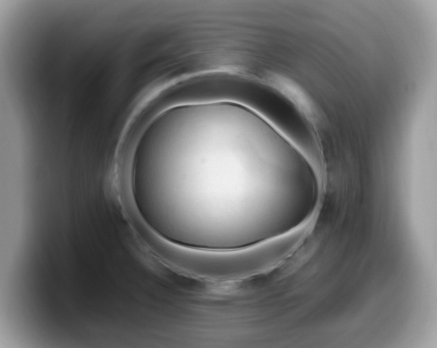 X0000099981332200805301346