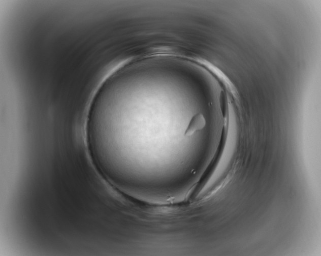 X0000099981333200805301346