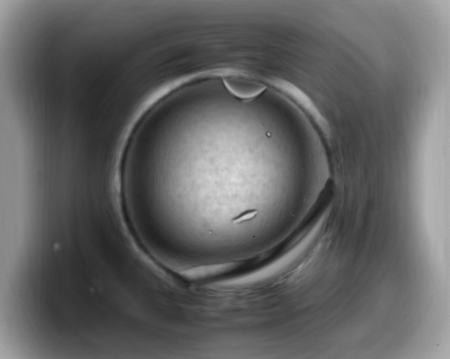 X0000099981335200805301346