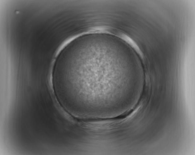 X0000099981336200805301346