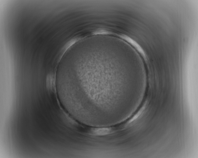 X0000099981337200805301346