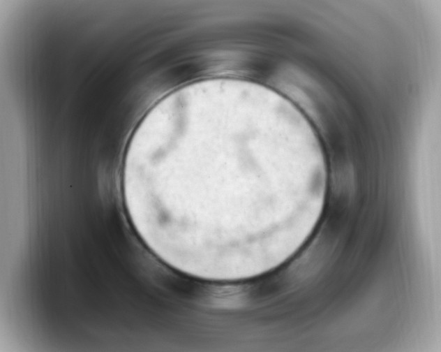 X0000099981338200805301346