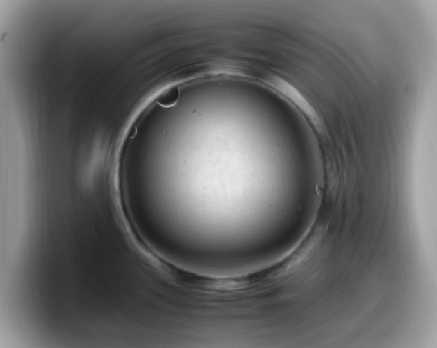X0000099981339200805301346