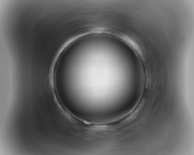 X0000099981342200805301346