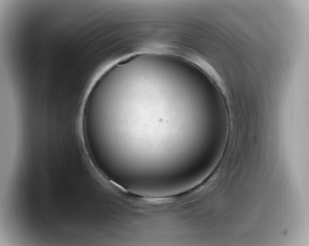 X0000099981344200805301346