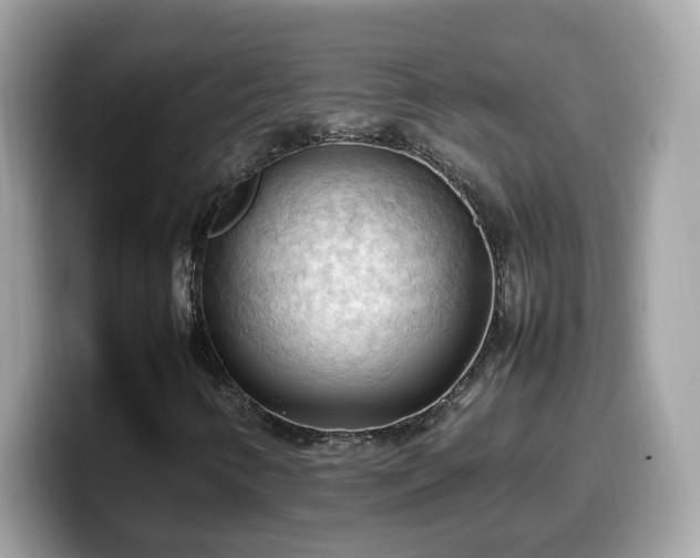 X0000099981346200805301345