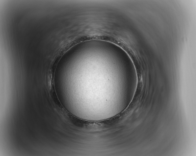 X0000099981348200805301345