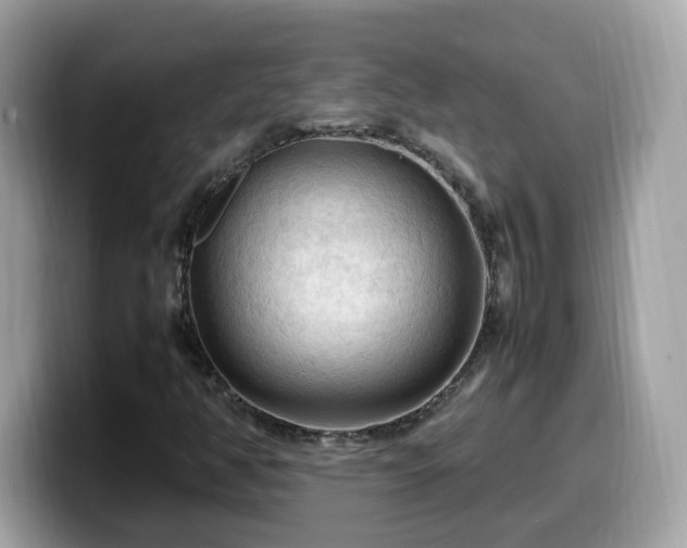X0000099981350200805301345