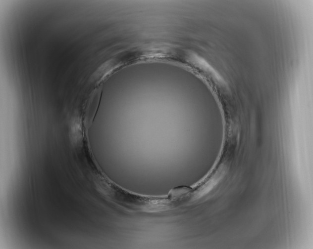 X0000099981353200805301345