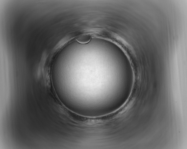 X0000099981354200805301345