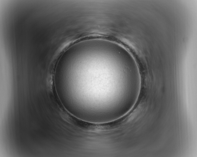 X0000099981355200805301345