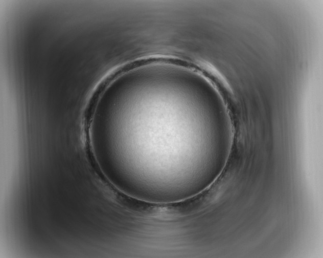X0000099981360200805301345