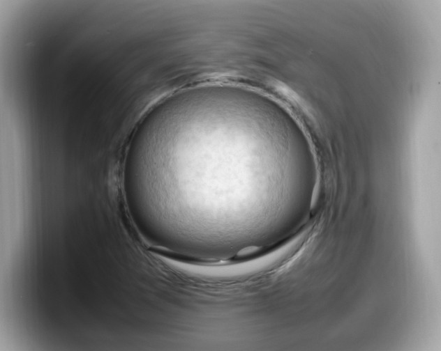 X0000099981361200805301345