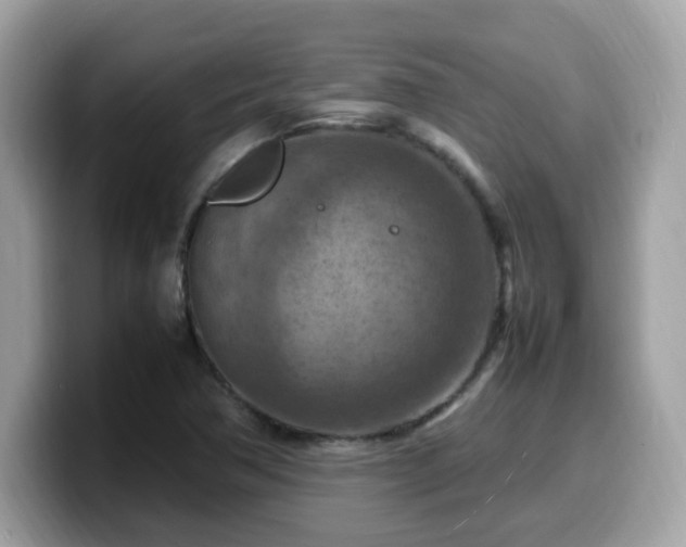 X0000099981362200805301345
