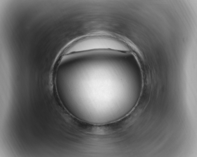 X0000099981364200805301345