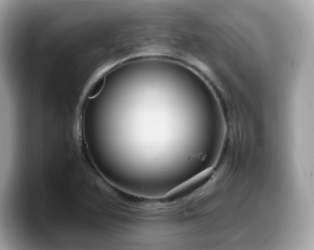 X0000099981366200805301345