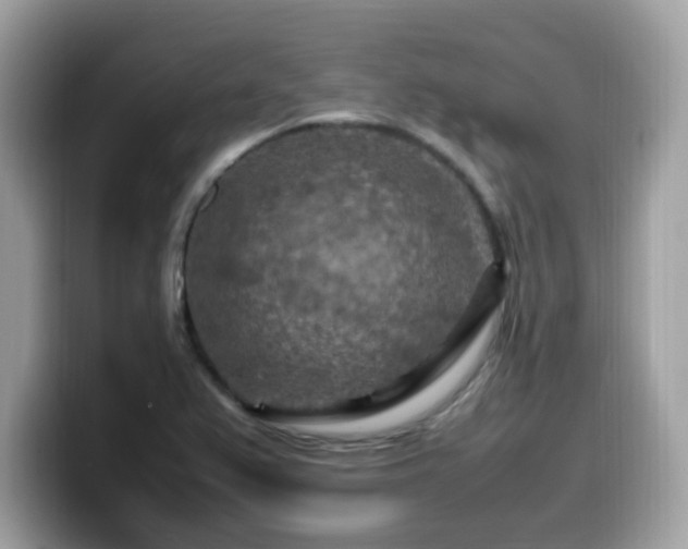 X0000099981367200805301345