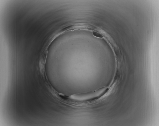 X0000099981369200805301345