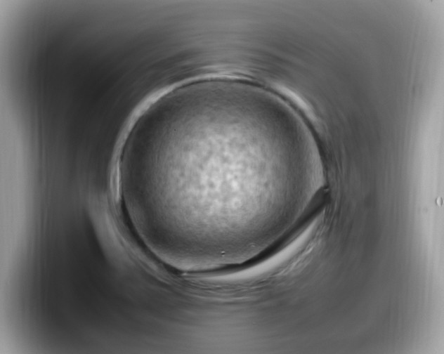 X0000099981371200805301345