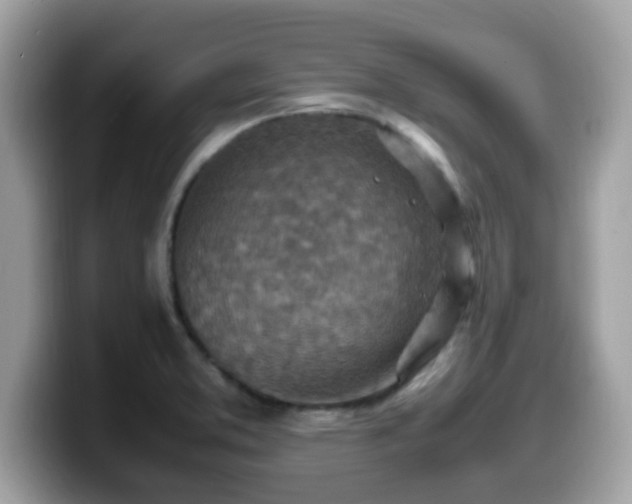 X0000099981373200805301345