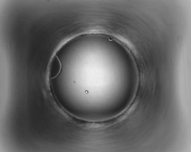 X0000099981374200805301345