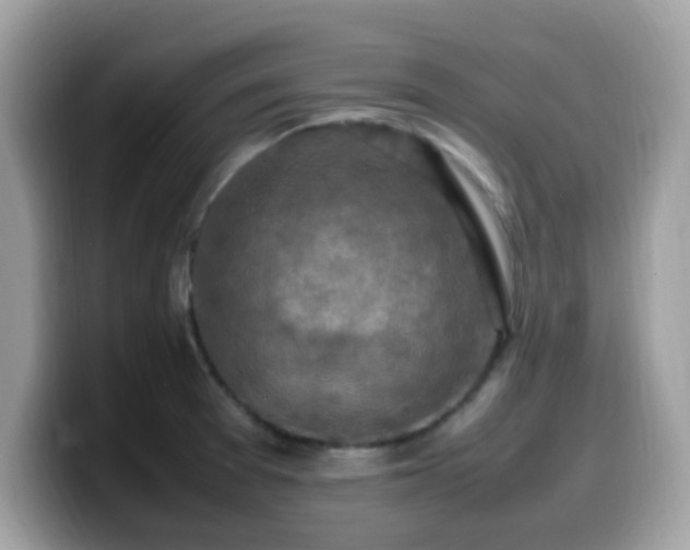 X0000099981377200805301345