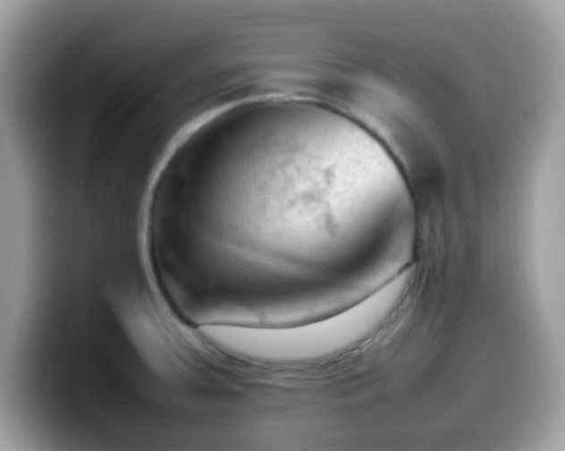 X0000099981379200805301345
