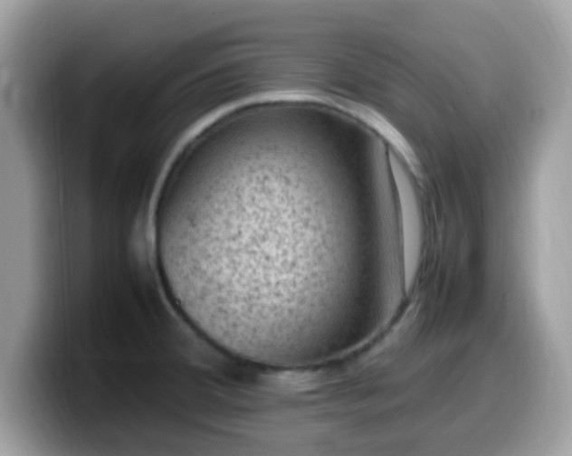 X0000099981380200805301345