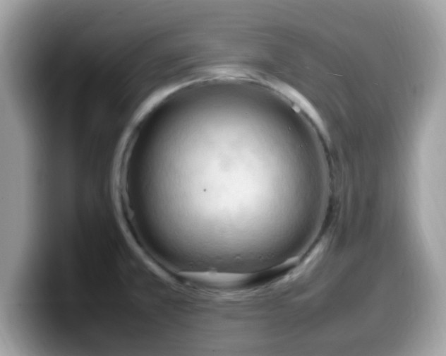X0000099981381200805301345
