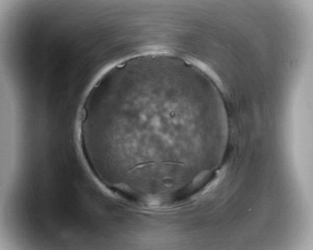 X0000099981383200805301345