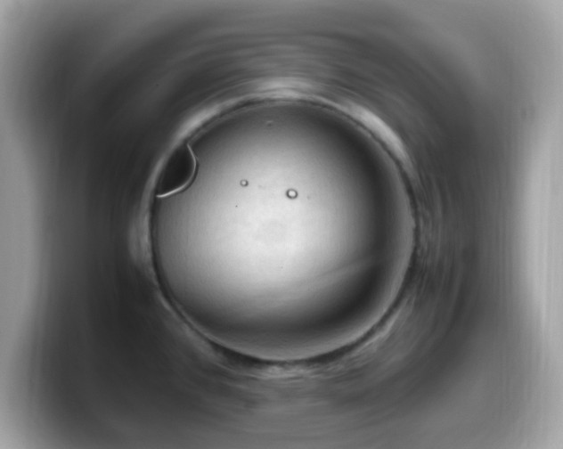X0000099981384200805301345