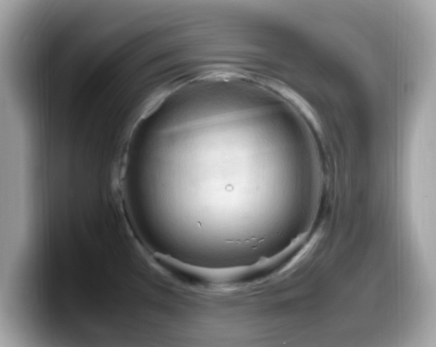 X0000099981385200805301345