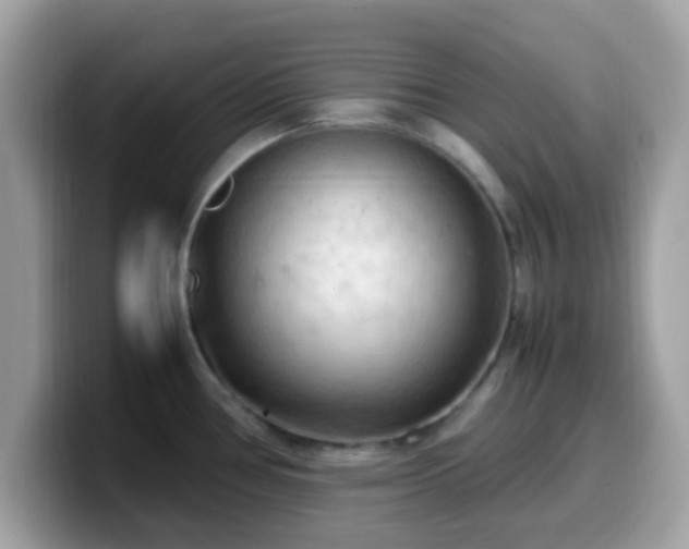 X0000099981386200805301345