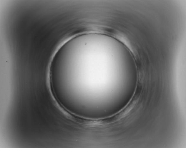 X0000099981387200805301345