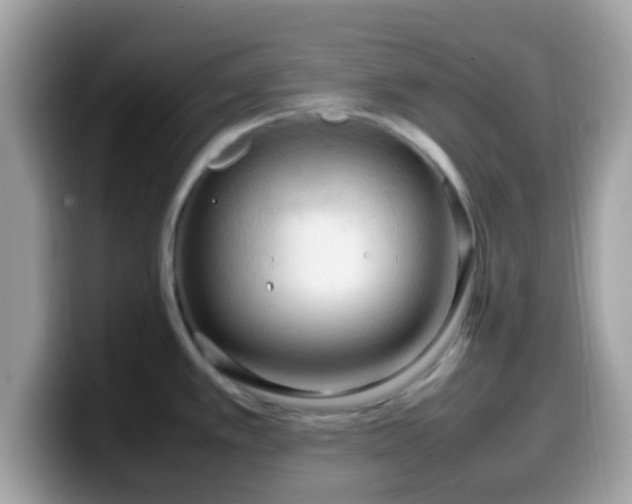 X0000099981389200805301345